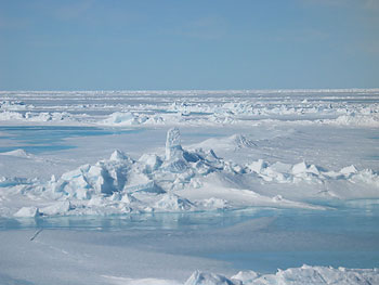 Sea ice with ridges and melt ponds in the Chukchi Sea: habitat for a unique community of protists and multi-cellular fauna. Photo by R. Gradinger, Univ. of Alaska Fairbanks.