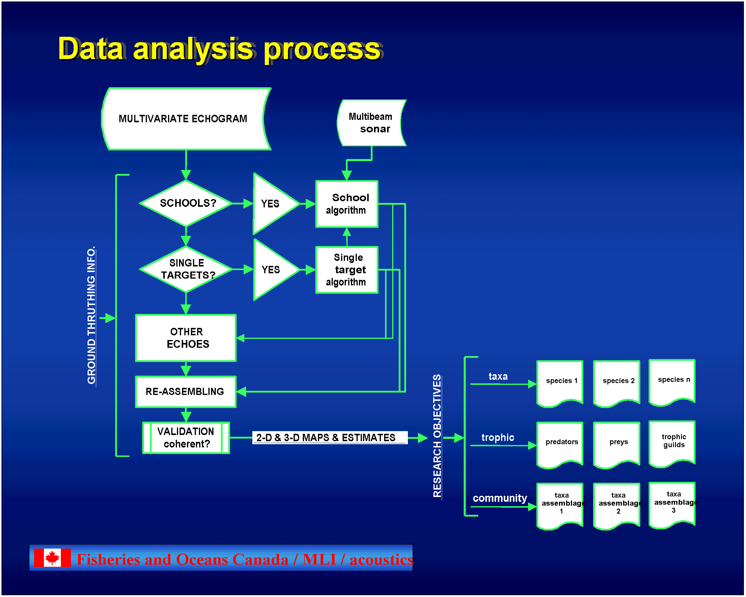technology sequence analysis